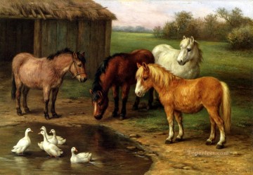 Ponies By A Pond poultry livestock barn Edgar Hunt Oil Paintings